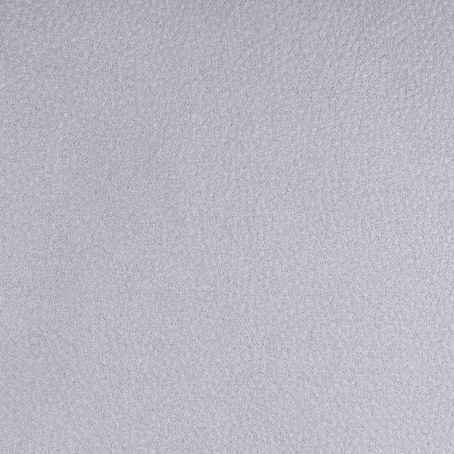 23895565