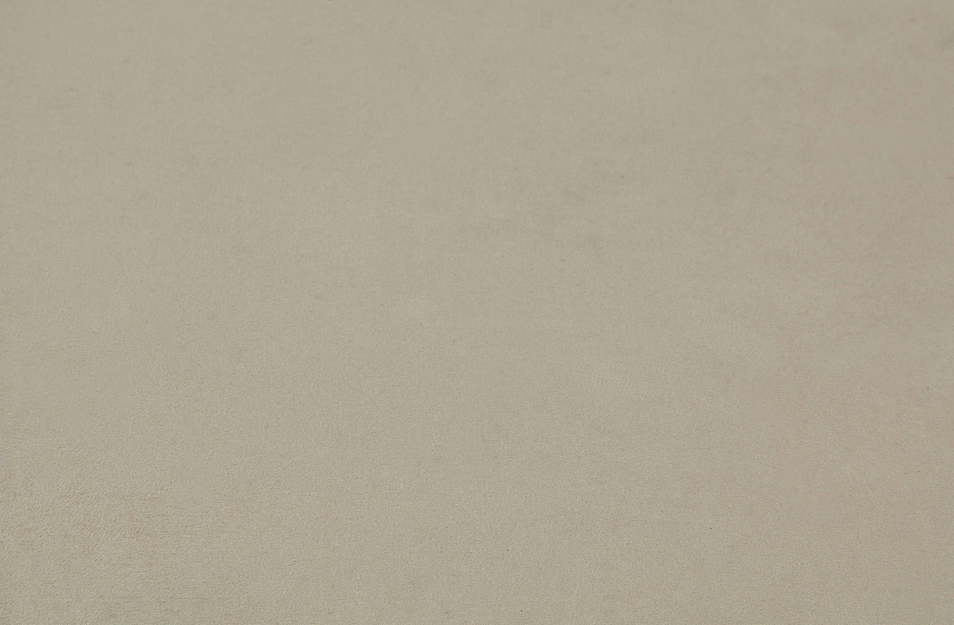 23899620
