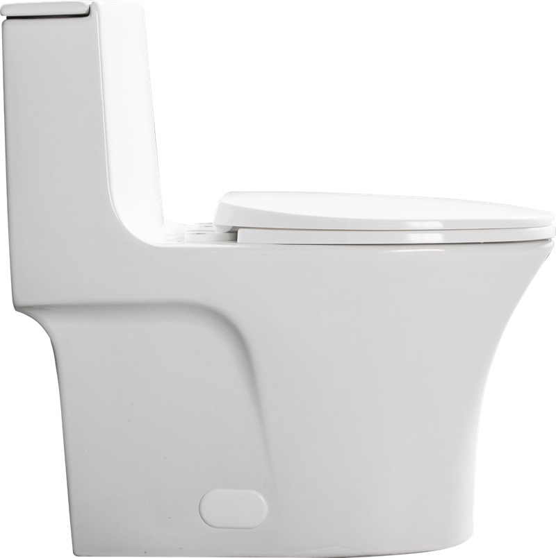 1st Choice GPF Dual Flush 1-Piece Elongated Toilet with Soft-Close Seat