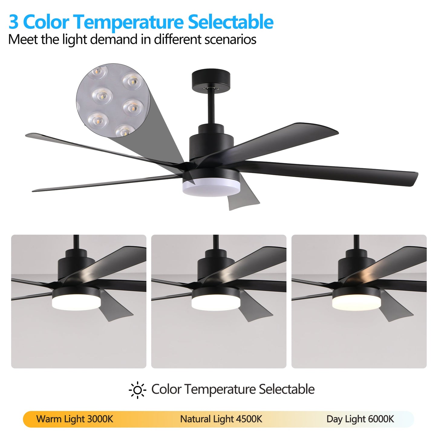 65 Inch Black Ceiling Fan with Light, 5 - Blade Dimmable LED Ceiling Fan with Remote Control, Modern Quiet Design for Living Room and Bedroom (Silent/6 - Speed/Reversible/DC Motor) - 1st Choice Furniture Direct