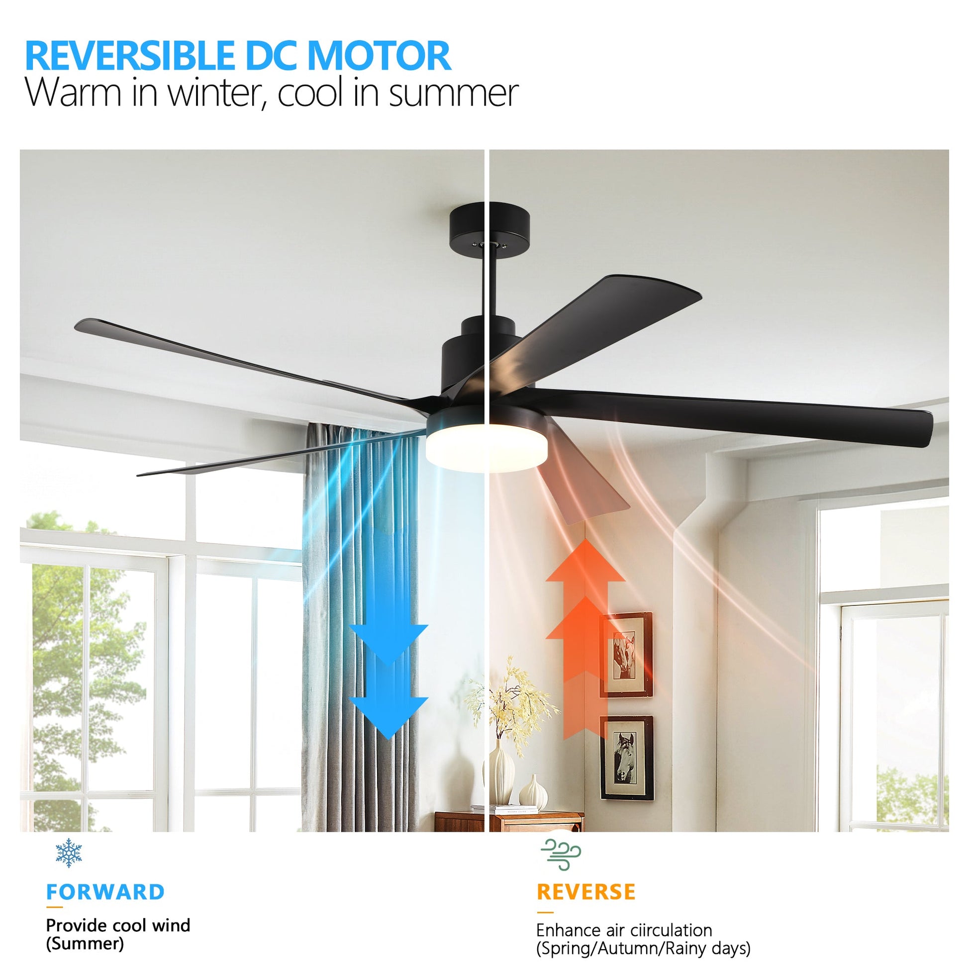 65 Inch Black Ceiling Fan with Light, 5 - Blade Dimmable LED Ceiling Fan with Remote Control, Modern Quiet Design for Living Room and Bedroom (Silent/6 - Speed/Reversible/DC Motor) - 1st Choice Furniture Direct