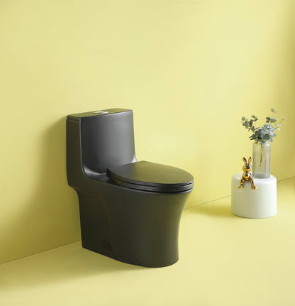 1st Choice Dual Flush 1-Piece Elongated Toilet with Soft-Close Seat - Matt Black