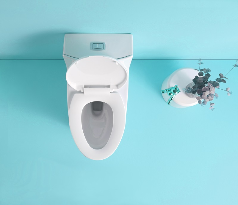 1st Choice GPF Dual Flush 1-Piece Elongated Toilet with Soft-Close Seat