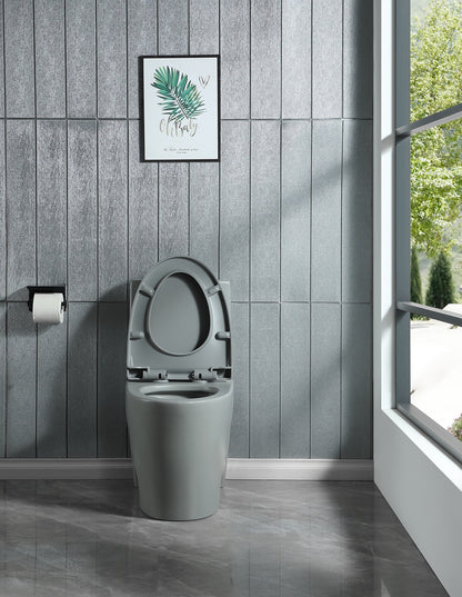 1st Choice 15 5/8 Inch 1.1/1.6 GPF Dual Flush 1-Piece Elongated Toilet in Light Grey