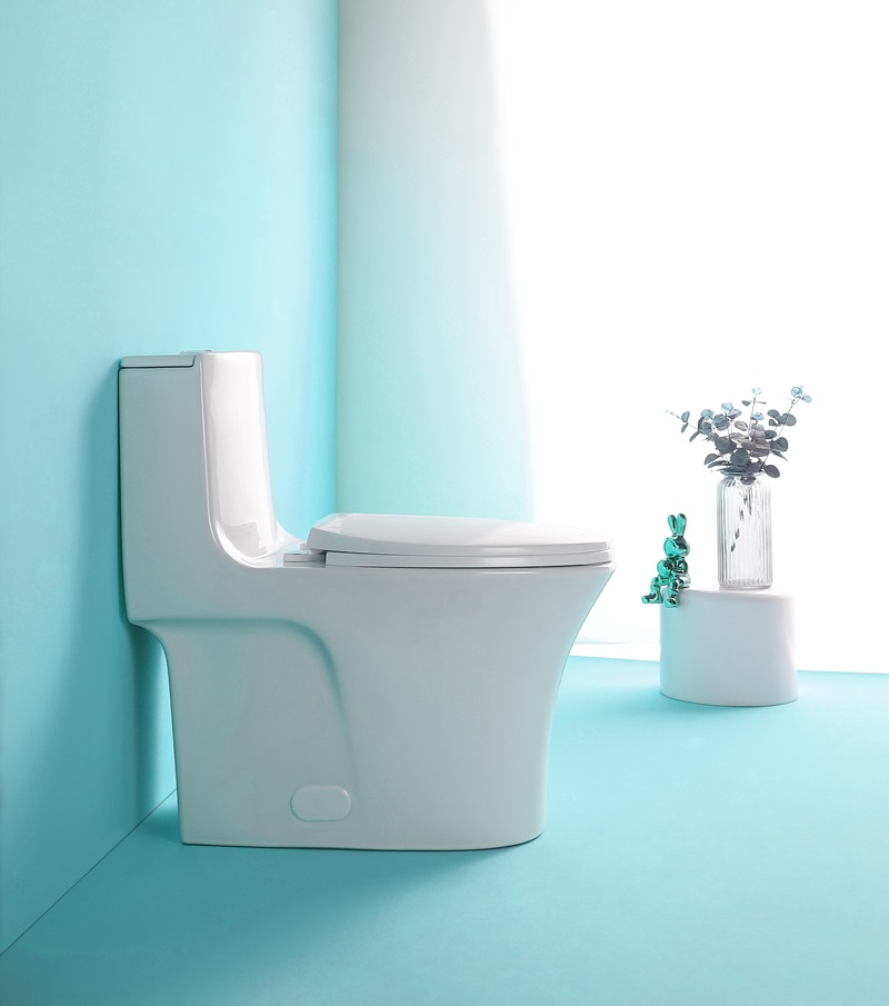 1st Choice GPF Dual Flush 1-Piece Elongated Toilet with Soft-Close Seat