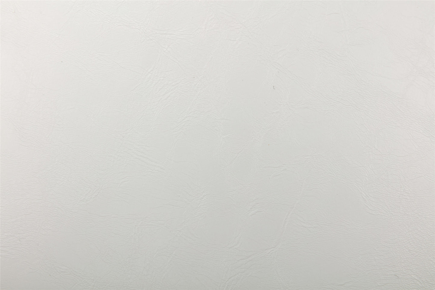 18169700