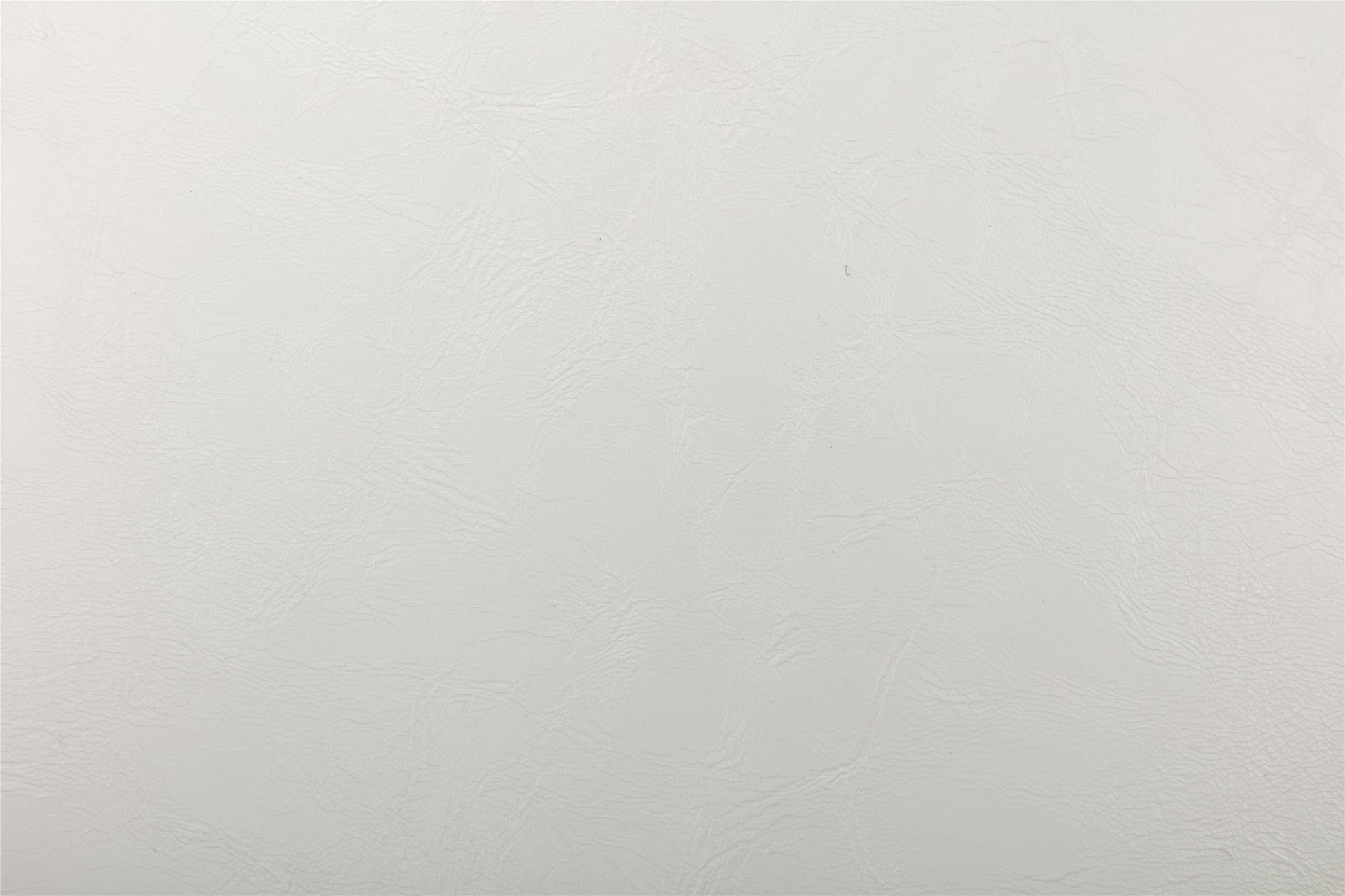 18169700