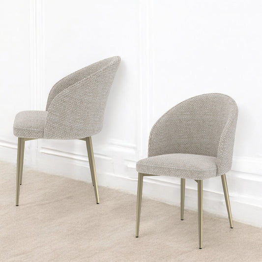 Cora Champagne Fabric Side Chair (Set of 2) - 1st Choice Furniture Direct