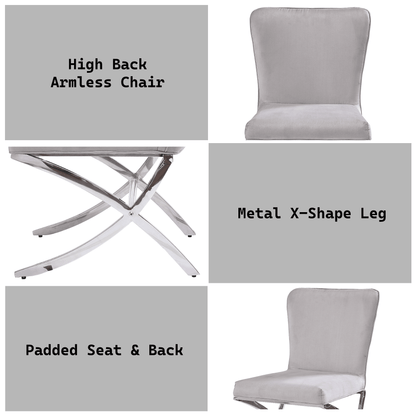 Daire Light Gray Velvet & Chrome Finish Side Chair ( Set of 2) - 1st Choice Furniture Direct