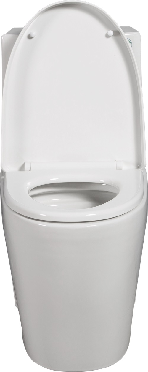 1st Choice 1.1/1.6 GPF Dual Flush 1-Piece Elongated Toilet in White