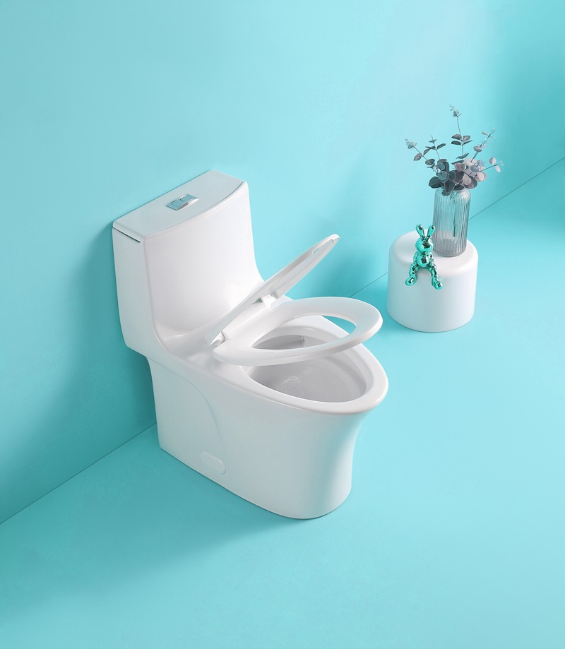 1st Choice GPF Dual Flush 1-Piece Elongated Toilet with Soft-Close Seat