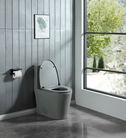 1st Choice 15 5/8 Inch 1.1/1.6 GPF Dual Flush 1-Piece Elongated Toilet in Light Grey