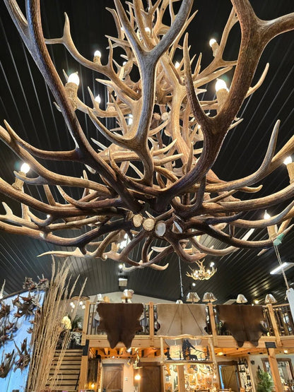 Handmade Repurposed Elk Antler Chandelier – 7' x 8' Rustic Lodge Lighting - 1st Choice Furniture Direct