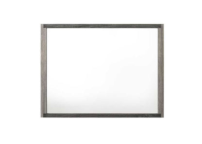 Jehoram Gray Finish Mirror - 1st Choice Furniture Direct