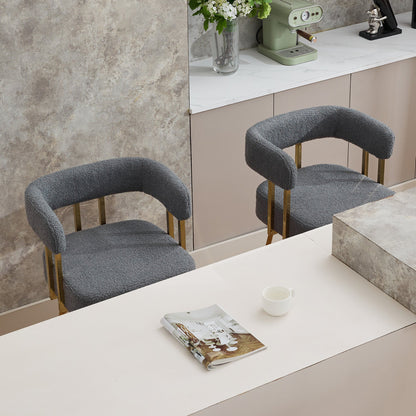 TS Modern Decorative Chair, Gray Teddy Fleece Upholstered Metal Foot Bar Side Chair with Gold Legs, 2PC Set for Living Room, Dressing Area, Office - 1st Choice Furniture Direct