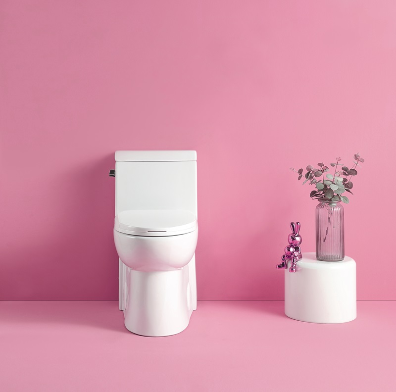 1st Choice 1-Piece Elongated Toilet with Soft-Close Seat - Gloss White