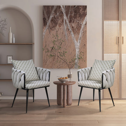 1st Choice Modern Velvet Accent Living Room Beige Dining Chairs Set of 2