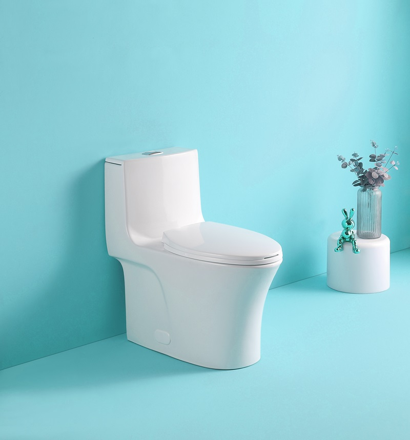 1st Choice GPF Dual Flush 1-Piece Elongated Toilet with Soft-Close Seat