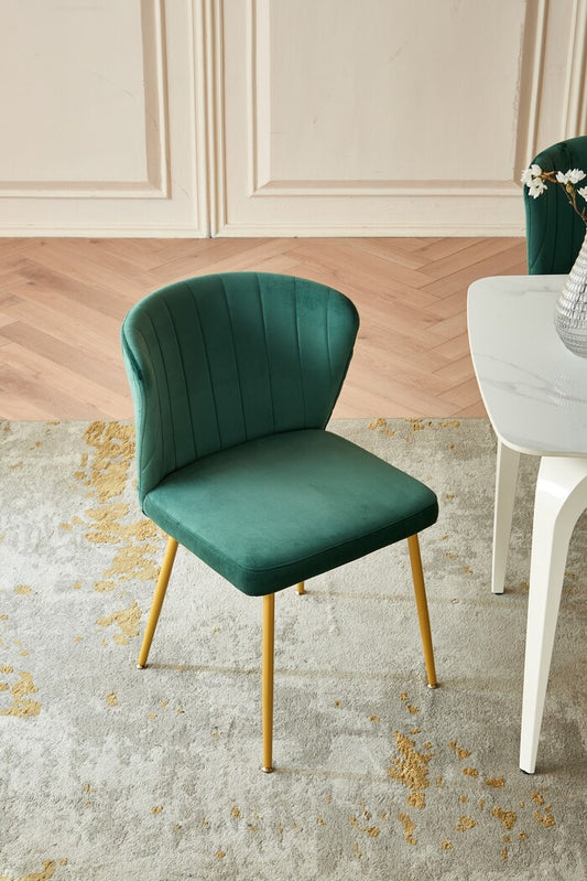 1st Choice Modern Living Mid Century Dining Room Chairs - Set of 2